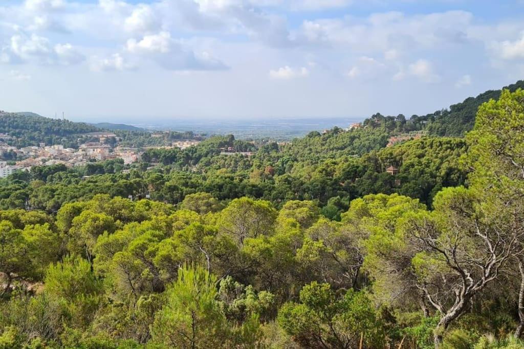 Acogedor Chalet Familiar En La Sierra Calderona Náquera Eksteriør bilde